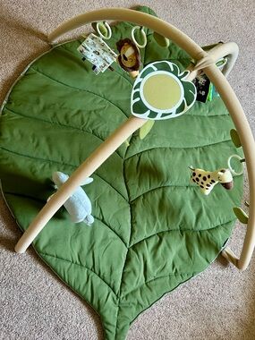 Blissful Diary Baby Play Gym and Activity Mat - 6 Detachable Toys